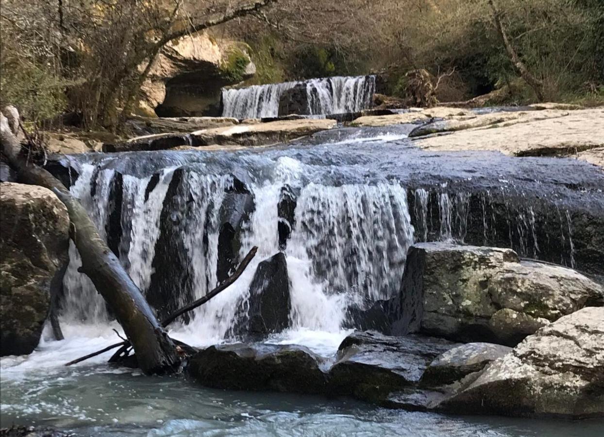 B&B Il Grifo Bomarzo Kültér fotó