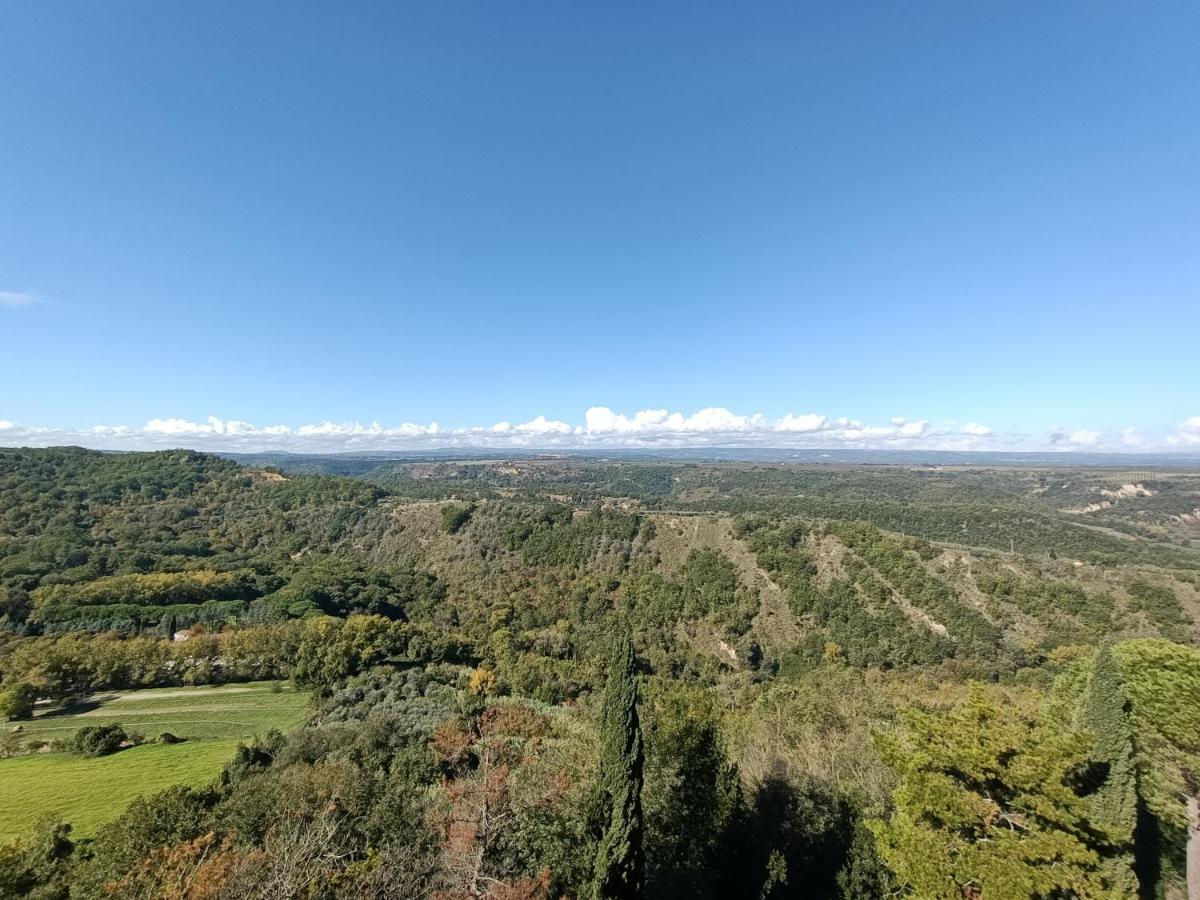B&B Il Grifo Bomarzo Kültér fotó