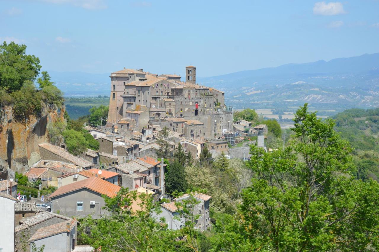 B&B Il Grifo Bomarzo Kültér fotó